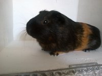 100920121186.jpg