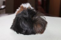 IMG_2121.JPG