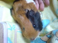 DSC00159.JPG