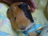 DSC00160.JPG