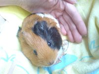 DSC00163.JPG
