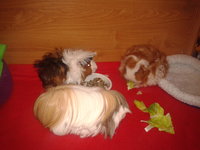 2013-02-09 16.57.16.jpg
