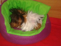 2013-02-09 17.05.41.jpg