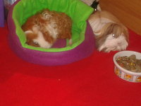 2013-02-09 17.38.09.jpg
