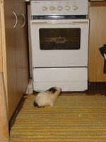 DSC08998.jpg