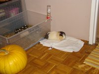 DSC09000.jpg