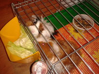 2013-02-13 19.18.52.jpg