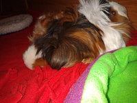2013-02-12 18.35.32.jpg