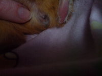 DSC00172.JPG