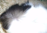 aaaaaaaaaaa.JPG (57.82 KiB) Przejrzano 1533 razy aaaaaaaaaaa.JPG