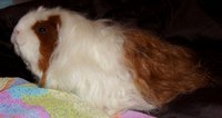 DSC00284.JPG