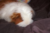 DSC00278.JPG