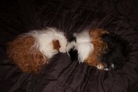 DSC00266.JPG