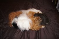 DSC00270.JPG