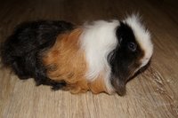 DSC00300.JPG