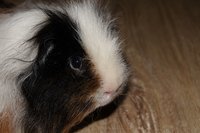 DSC00301.JPG