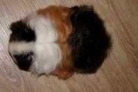 DSC00307.JPG