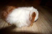 DSC00309.JPG