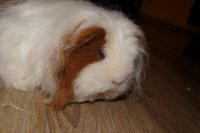 DSC00316.JPG