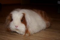 DSC00317.JPG