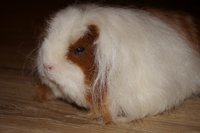 DSC00319.JPG
