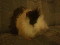 DSC_1850.JPG