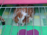 2013-03-04 15.38.15.jpg