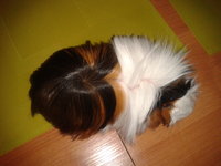 2013-03-06 19.53.54.jpg