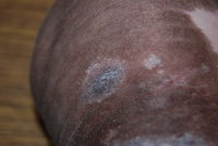 DSC_3580.JPG