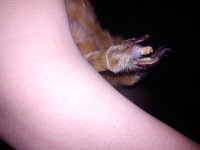 IMG_20130307_200054.jpg