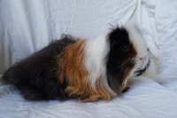 DSC03910.JPG