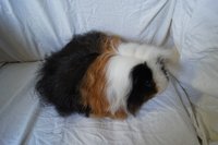 DSC03912.JPG