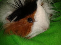 2013-03-18 19.12.55.jpg