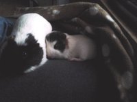 2013-04-18 20.03.35.jpg
