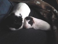 2013-04-18 20.05.09.jpg