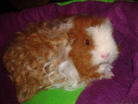 2013-04-28 21.28.17.jpg