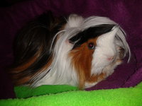 2013-04-28 21.47.58.jpg
