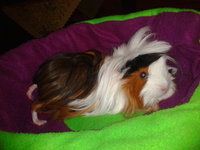 2013-04-28 22.16.19.jpg