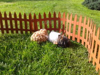 2013-05-29 17.24.49.jpg