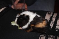 IMG_1976.JPG