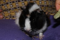 IMG_2564.JPG