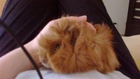 2013-06-02-651.jpg