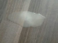 1370790213744.jpg