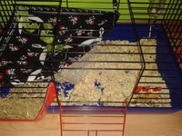 20130610_120851.jpg