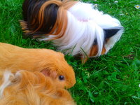 2013-06-18 19.03.45.jpg
