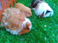 2013-06-18 19.04.04.jpg