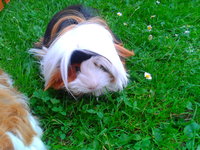 2013-06-18 19.04.57.jpg