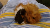 2013-06-15-683.jpg
