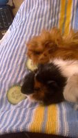 2013-06-16-684.jpg