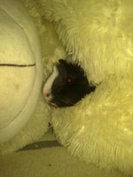 20130622321.JPG